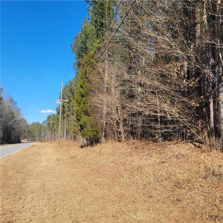 00 Bohannon Road, Grantville, Georgia image 9