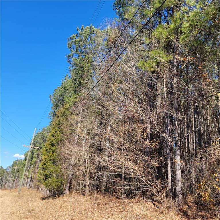 00 Bohannon Road, Grantville, Georgia image 8