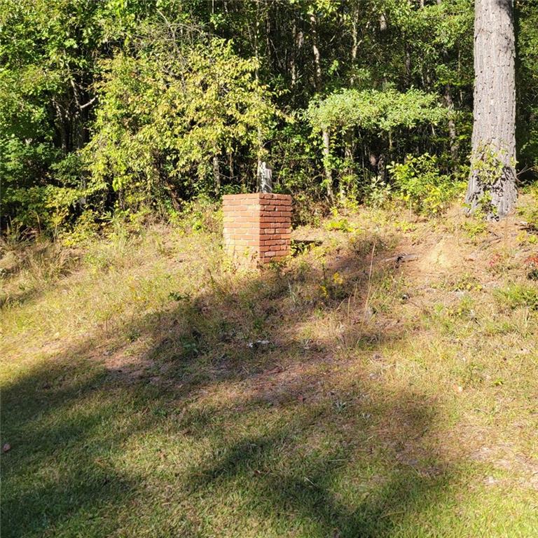 00 Bohannon Road, Grantville, Georgia image 4