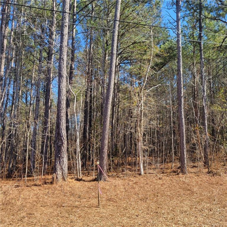 00 Bohannon Road, Grantville, Georgia image 12