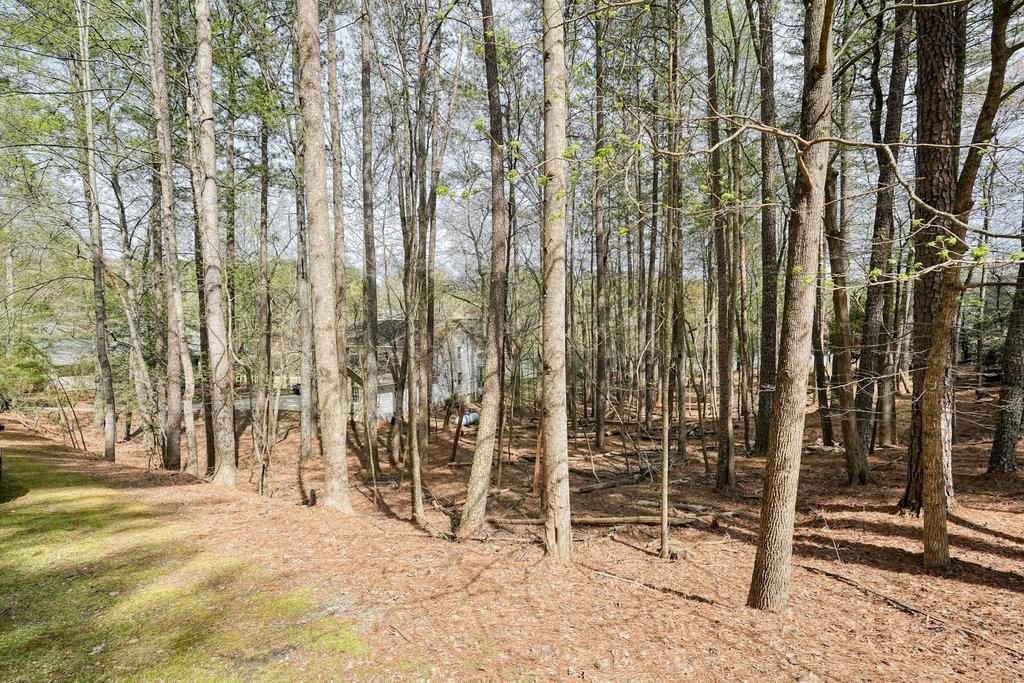 listing image 68