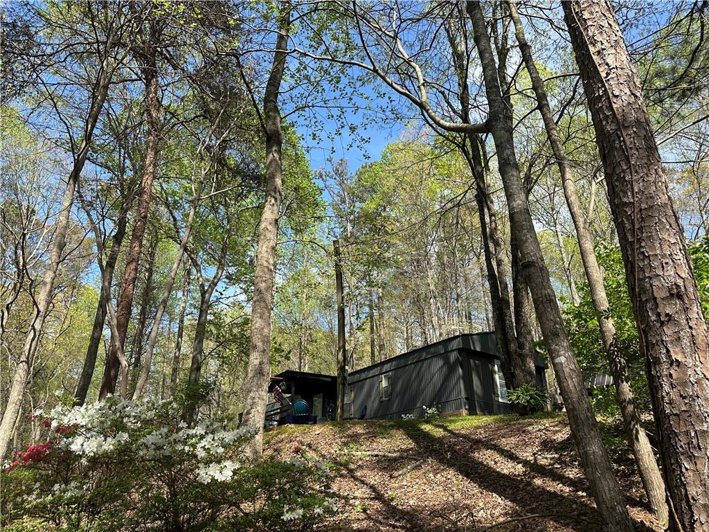 800 Twin Mountain Lake Circle, Talking Rock, Georgia image 42