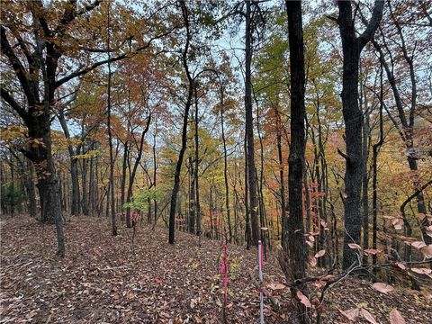 355 Orieole Court Ranger GA 30734