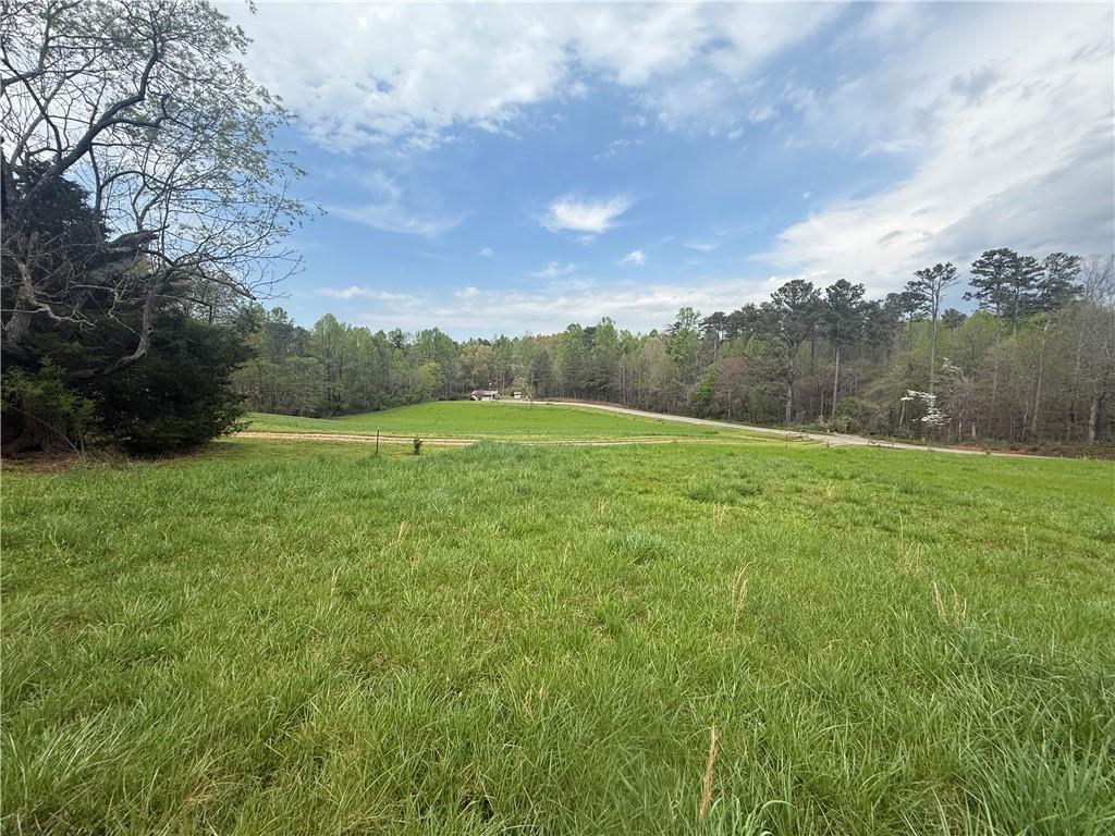 1375 Cleve Wright Road, Dawsonville, Georgia image 41