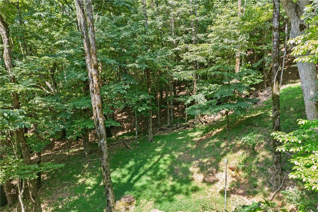 37 Petit Ridge Drive, Big Canoe, Georgia image 7