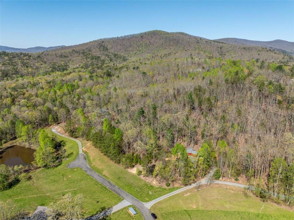 40 Pond Path, Ellijay, Georgia image 49