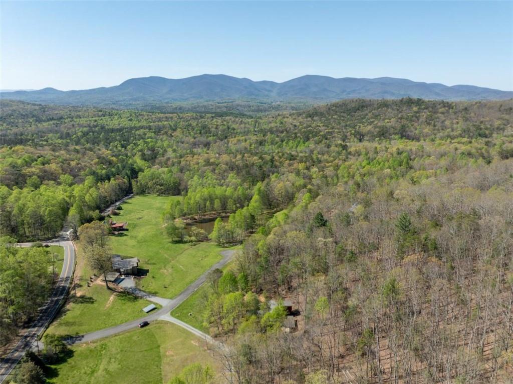 40 Pond Path, Ellijay, Georgia image 46