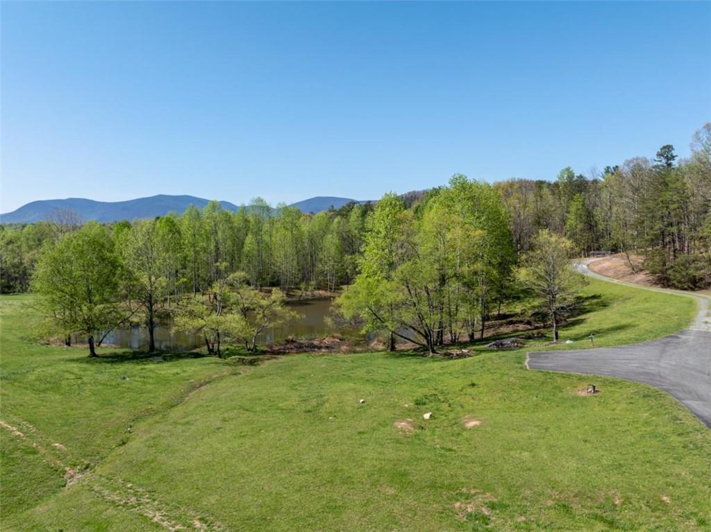 40 Pond Path, Ellijay, Georgia image 44