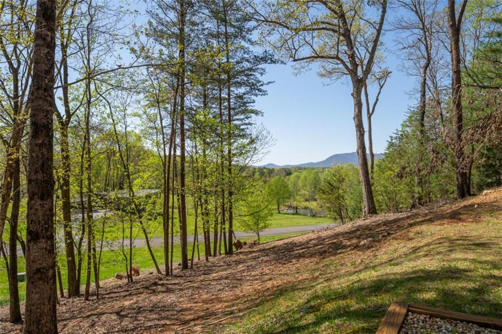 40 Pond Path, Ellijay, Georgia image 2