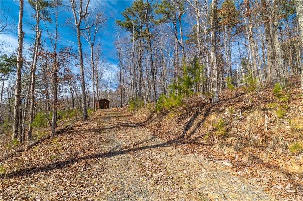 LOT 12 Meadow Brook Trail, Morganton, Georgia image 38