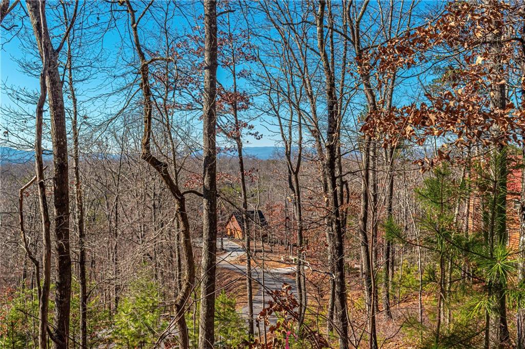LOT 12 Meadow Brook Trail, Morganton, Georgia image 24