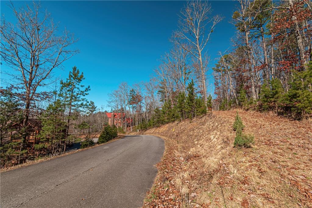 LOT 12 Meadow Brook Trail, Morganton, Georgia image 36