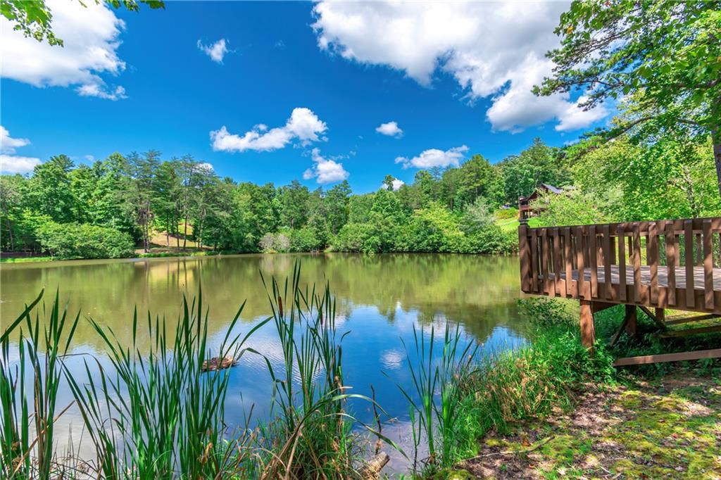 LOT 12 Meadow Brook Trail, Morganton, Georgia image 44