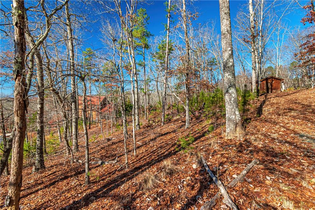 LOT 12 Meadow Brook Trail, Morganton, Georgia image 21