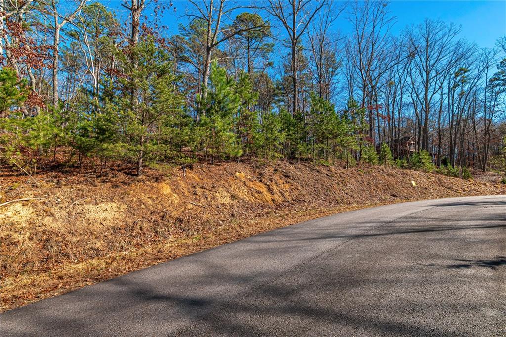 LOT 12 Meadow Brook Trail, Morganton, Georgia image 6
