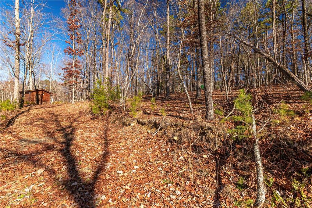 LOT 12 Meadow Brook Trail, Morganton, Georgia image 14