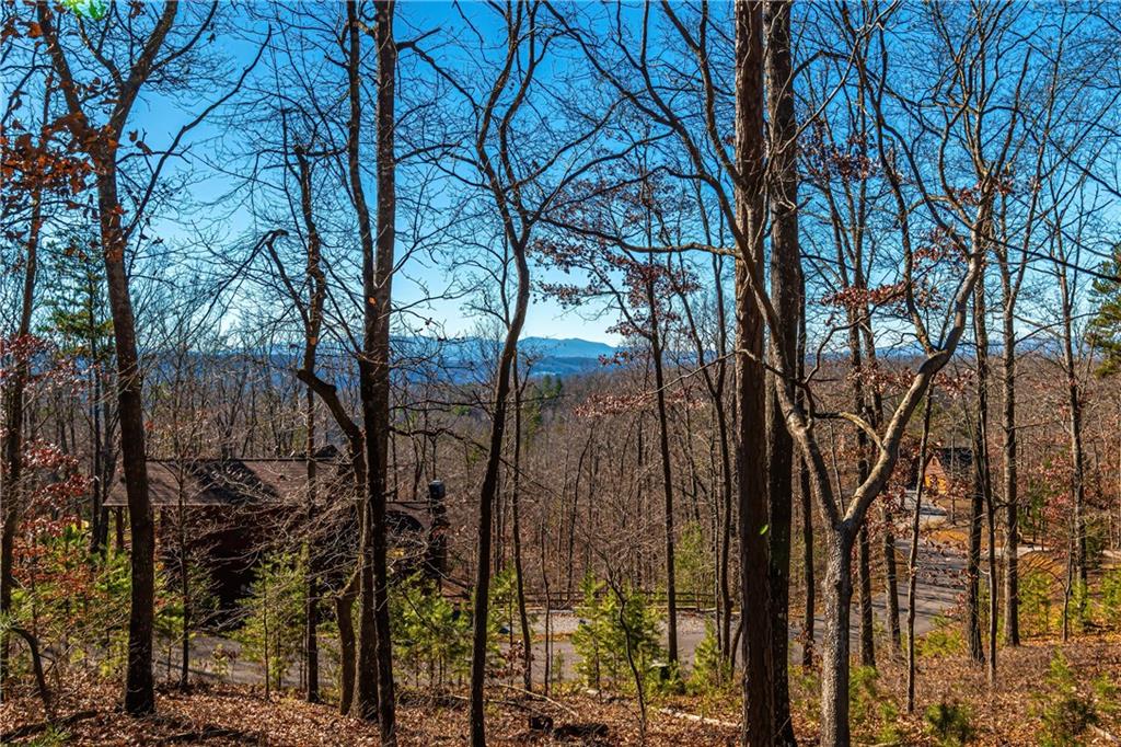 LOT 12 Meadow Brook Trail, Morganton, Georgia image 4