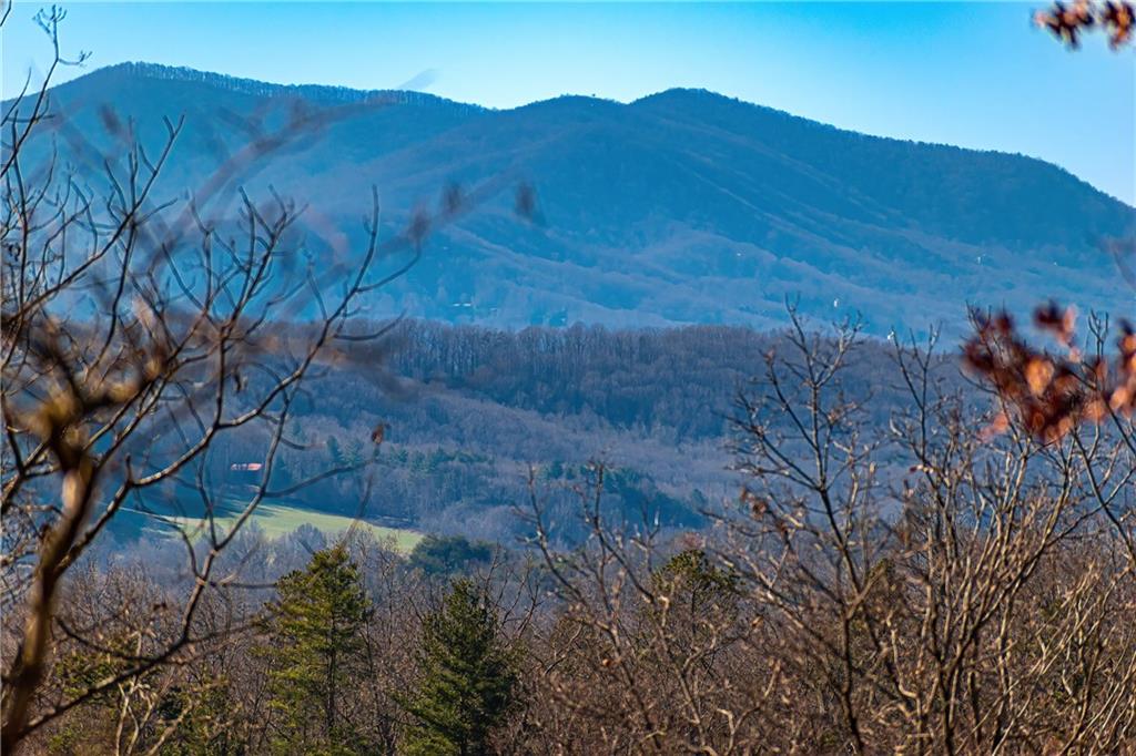 LOT 12 Meadow Brook Trail, Morganton, Georgia image 13