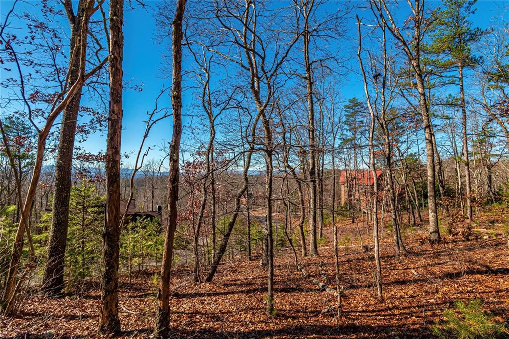 LOT 12 Meadow Brook Trail, Morganton, Georgia image 20