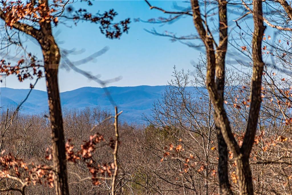 LOT 12 Meadow Brook Trail, Morganton, Georgia image 33