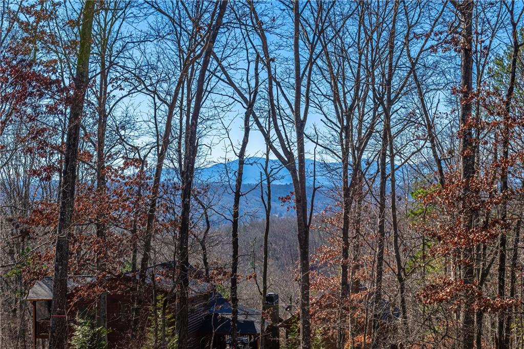LOT 12 Meadow Brook Trail, Morganton, Georgia image 23