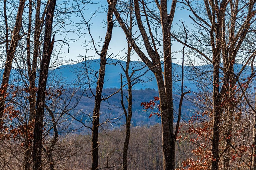 LOT 12 Meadow Brook Trail, Morganton, Georgia image 28