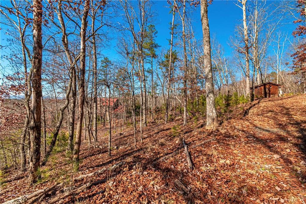 LOT 12 Meadow Brook Trail, Morganton, Georgia image 17