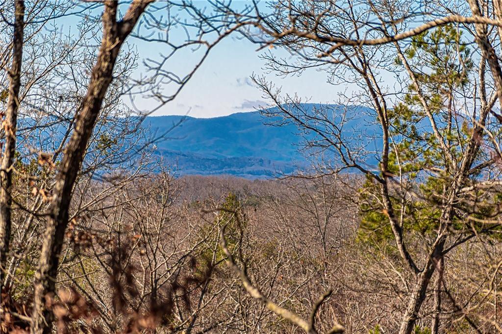 LOT 12 Meadow Brook Trail, Morganton, Georgia image 18