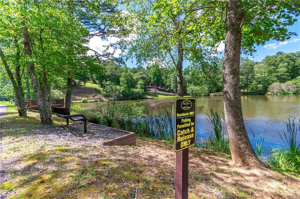 LOT 12 Meadow Brook Trail, Morganton, Georgia image 49