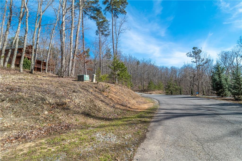 LOT 12 Meadow Brook Trail, Morganton, Georgia image 31