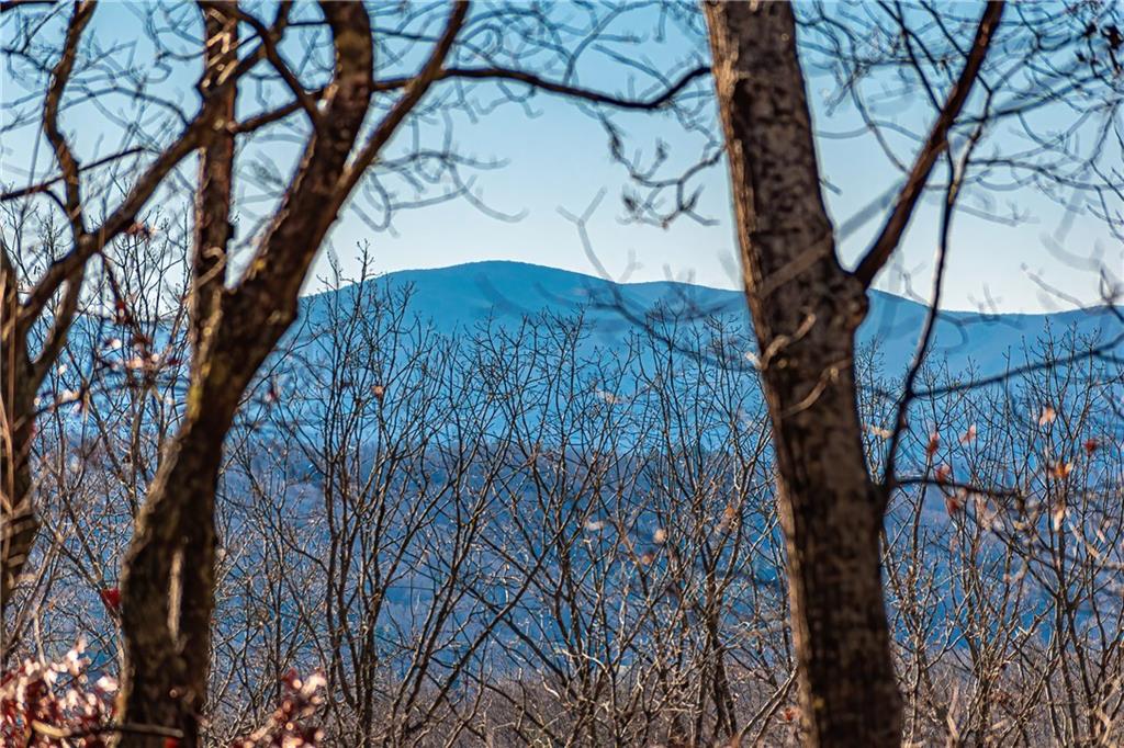 LOT 12 Meadow Brook Trail, Morganton, Georgia image 30