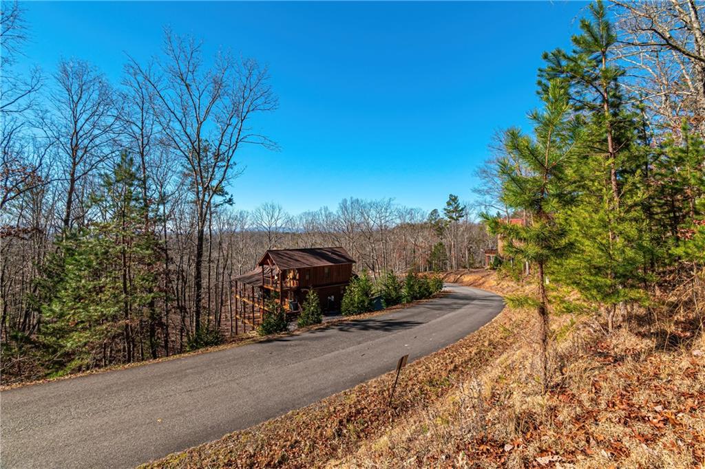 LOT 12 Meadow Brook Trail, Morganton, Georgia image 35