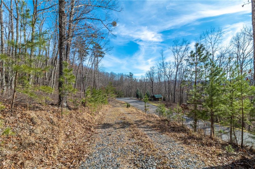LOT 12 Meadow Brook Trail, Morganton, Georgia image 37