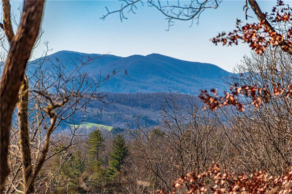LOT 12 Meadow Brook Trail, Morganton, Georgia image 1