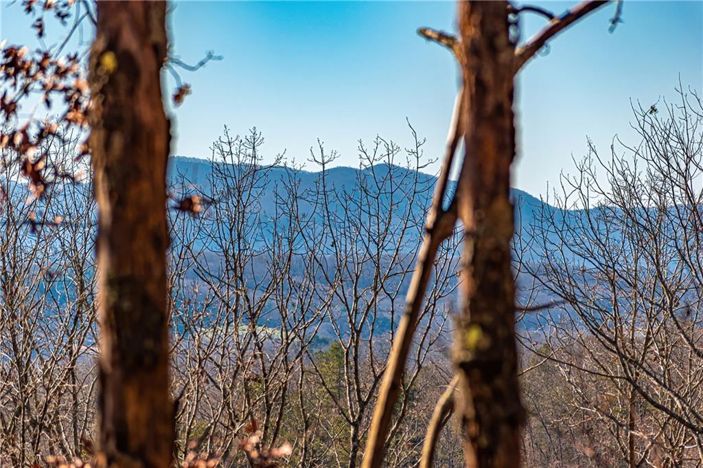 LOT 12 Meadow Brook Trail, Morganton, Georgia image 29