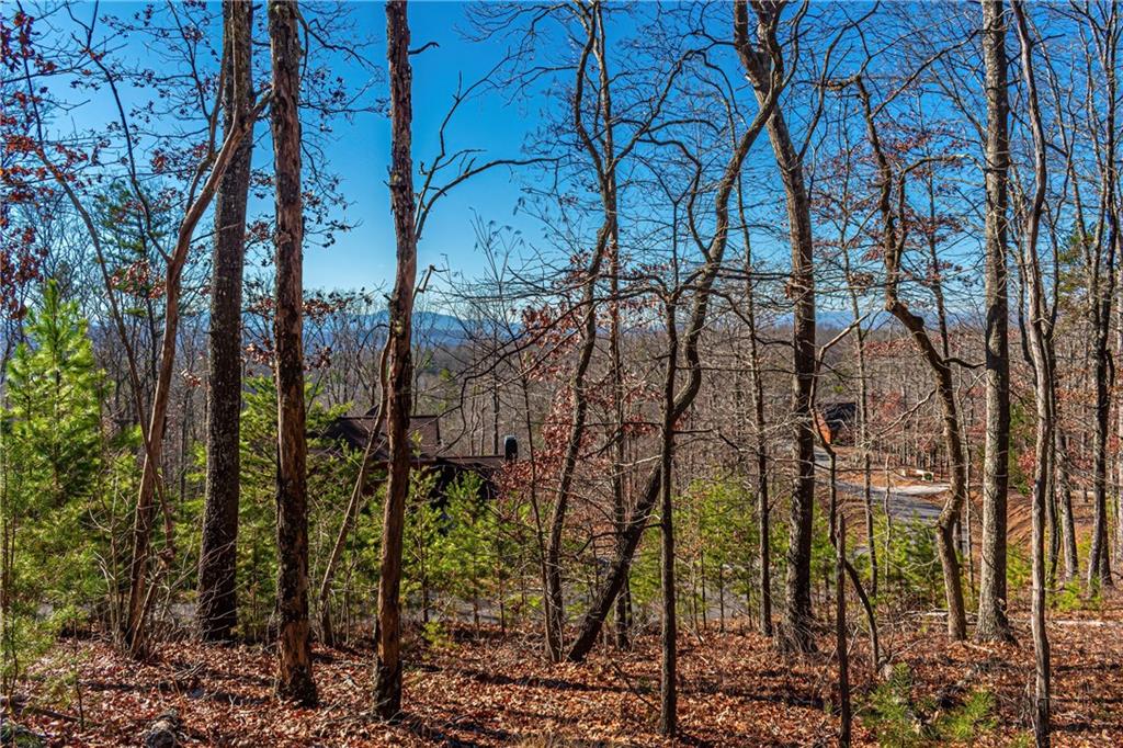 LOT 12 Meadow Brook Trail, Morganton, Georgia image 25