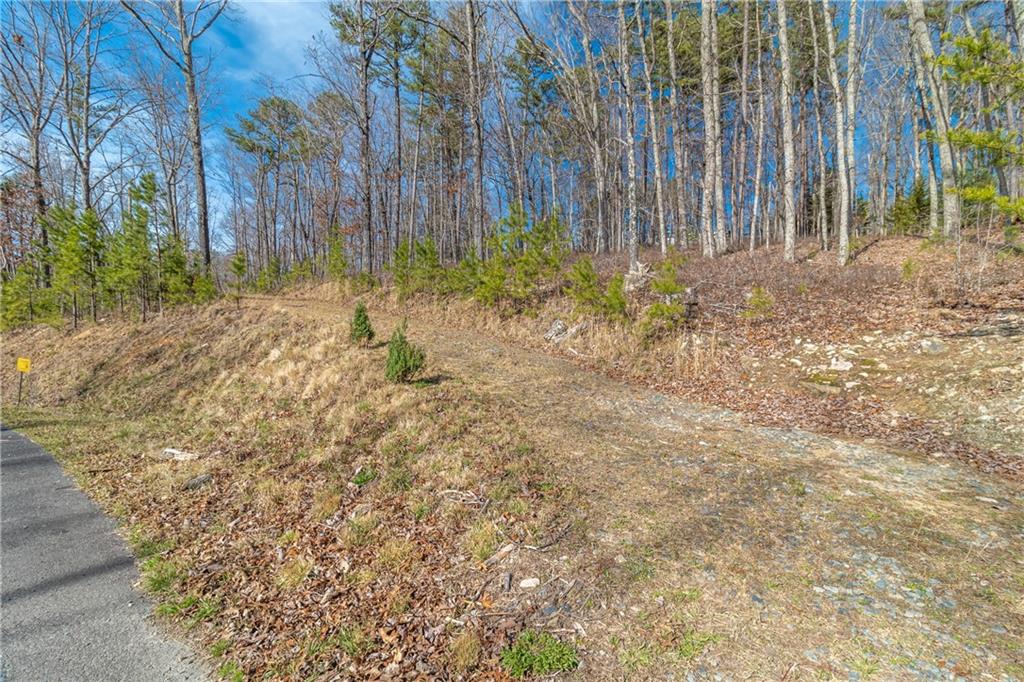 LOT 12 Meadow Brook Trail, Morganton, Georgia image 19