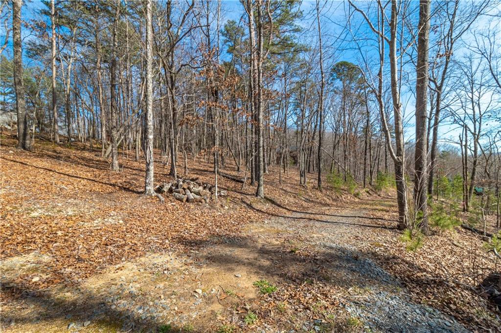 LOT 12 Meadow Brook Trail, Morganton, Georgia image 39