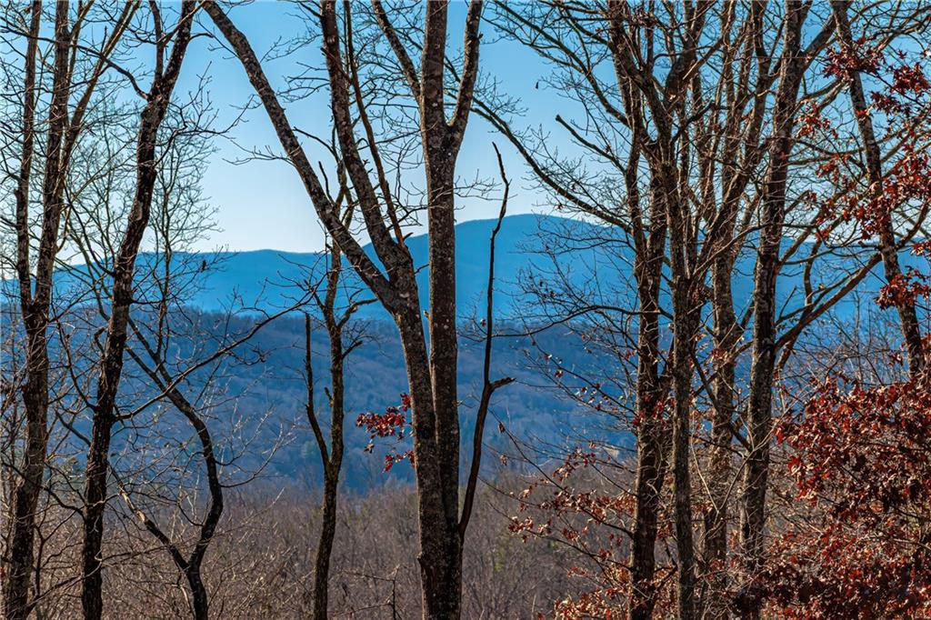 LOT 12 Meadow Brook Trail, Morganton, Georgia image 26