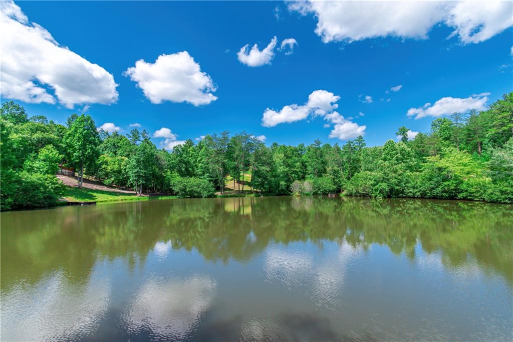 LOT 12 Meadow Brook Trail, Morganton, Georgia image 42