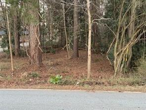 Vacant Land For Sale - Yates Road, Land Lot #35<br/> Atlanta, GA 30337