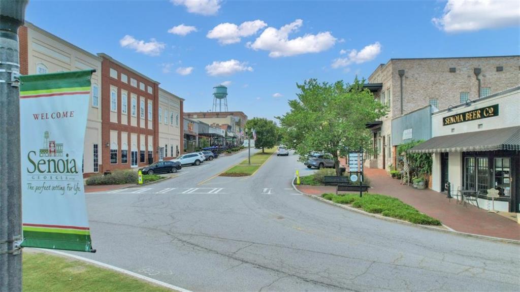 140 Brittany Lane, Senoia, Georgia image 50