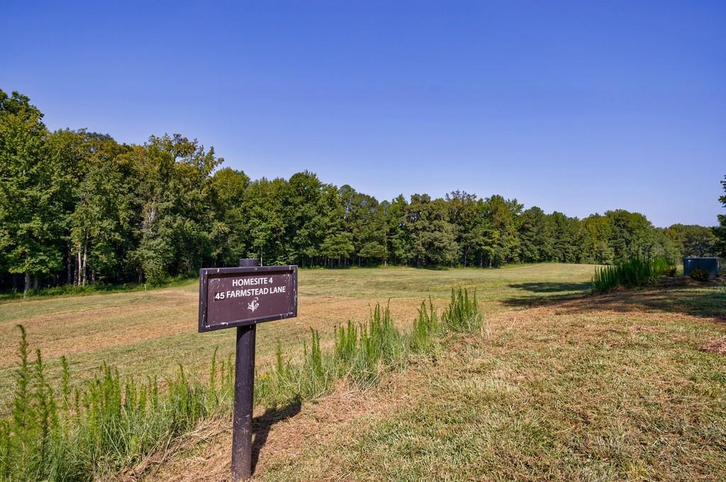 45 Farmstead Lane, Chattahoochee Hills, Georgia image 3