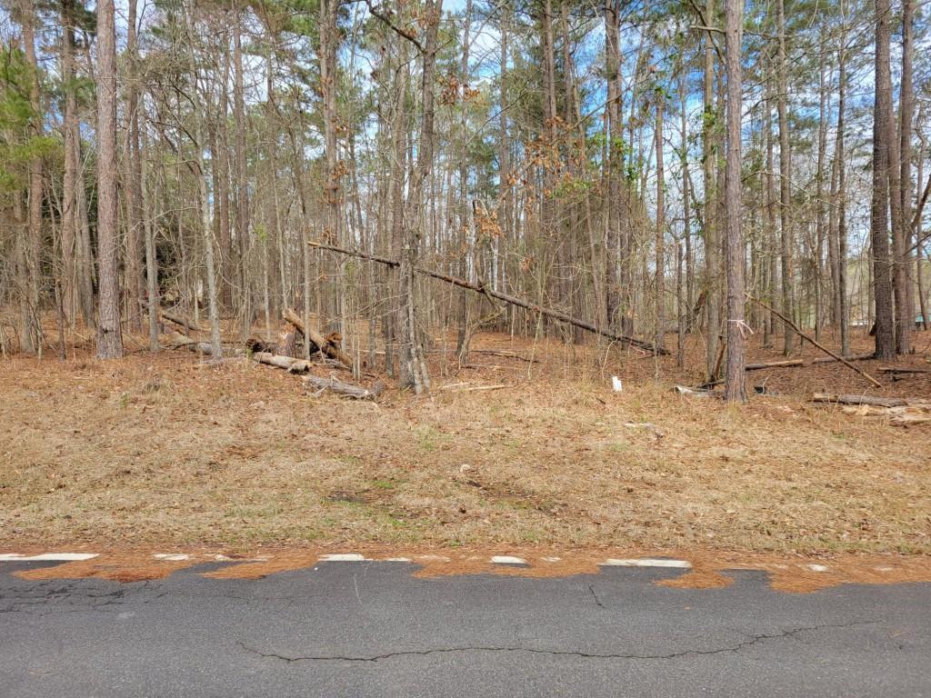 Shoreline Court, Eatonton, Georgia image 2