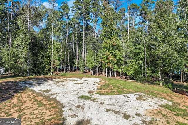 982 Lake Shore Road, Martin, Georgia image 22
