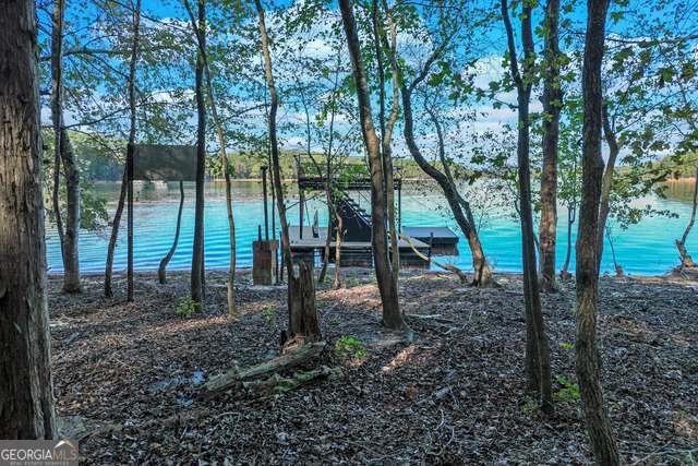 982 Lake Shore Road, Martin, Georgia image 36