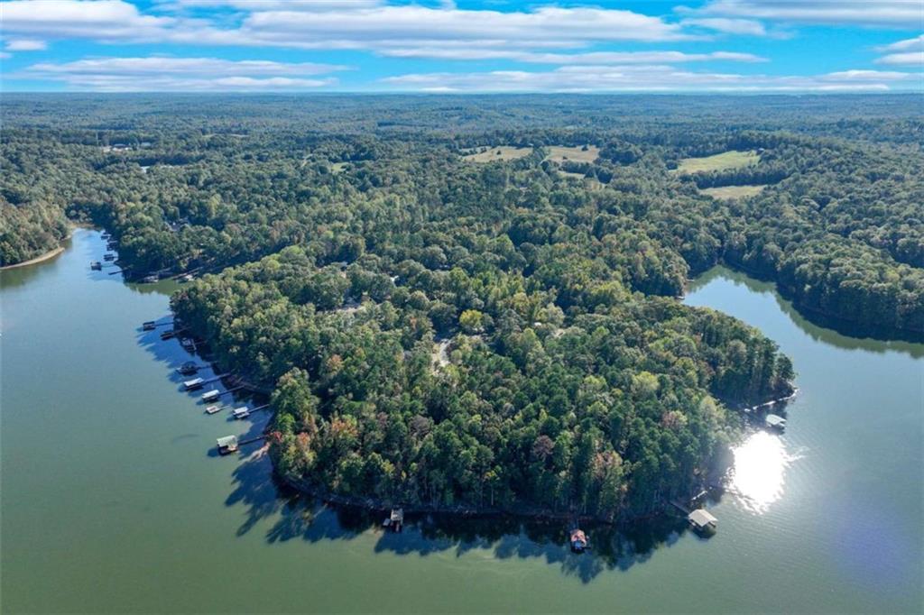 982 Lake Shore Road, Martin, Georgia image 11