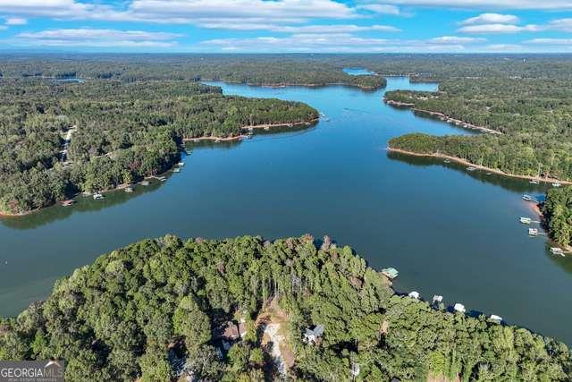 982 Lake Shore Road, Martin, Georgia image 31