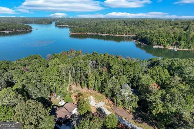 982 Lake Shore Road, Martin, Georgia image 20