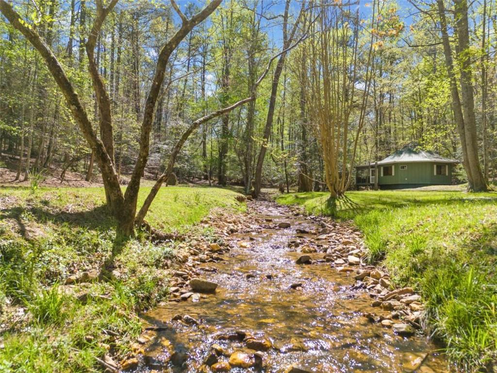 375 Indigo Drive, Ellijay, Georgia image 20